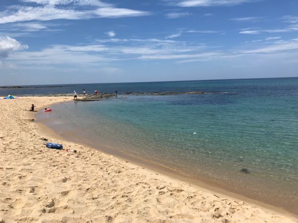 rblog-20170822141656-00.jpg