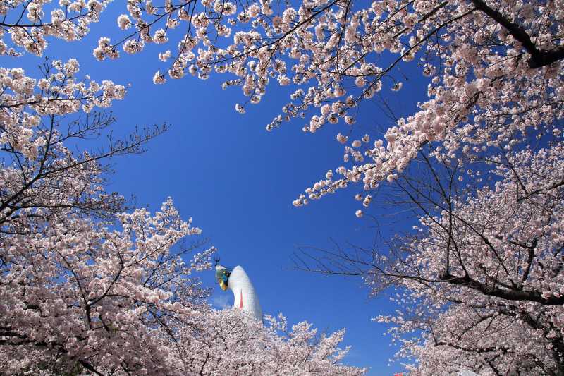 万博記念公園_007.jpg