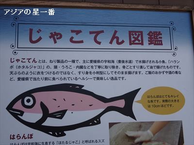 20160502 今治　松山　道後温泉7