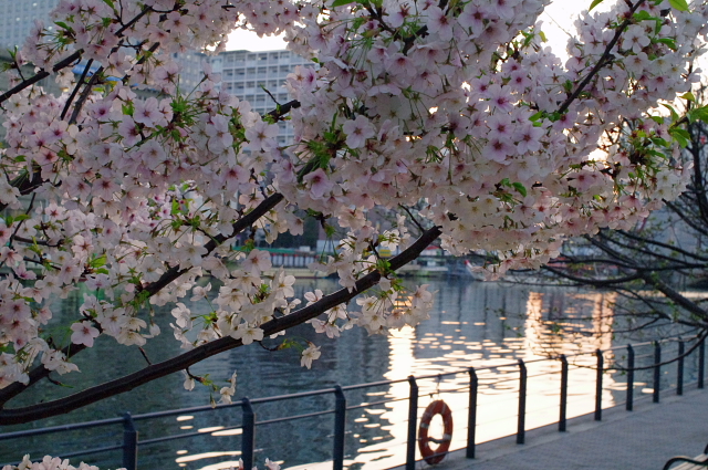 Photo01.JPG