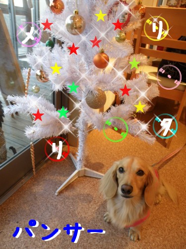 ﾊﾟﾝｻｰ.JPG