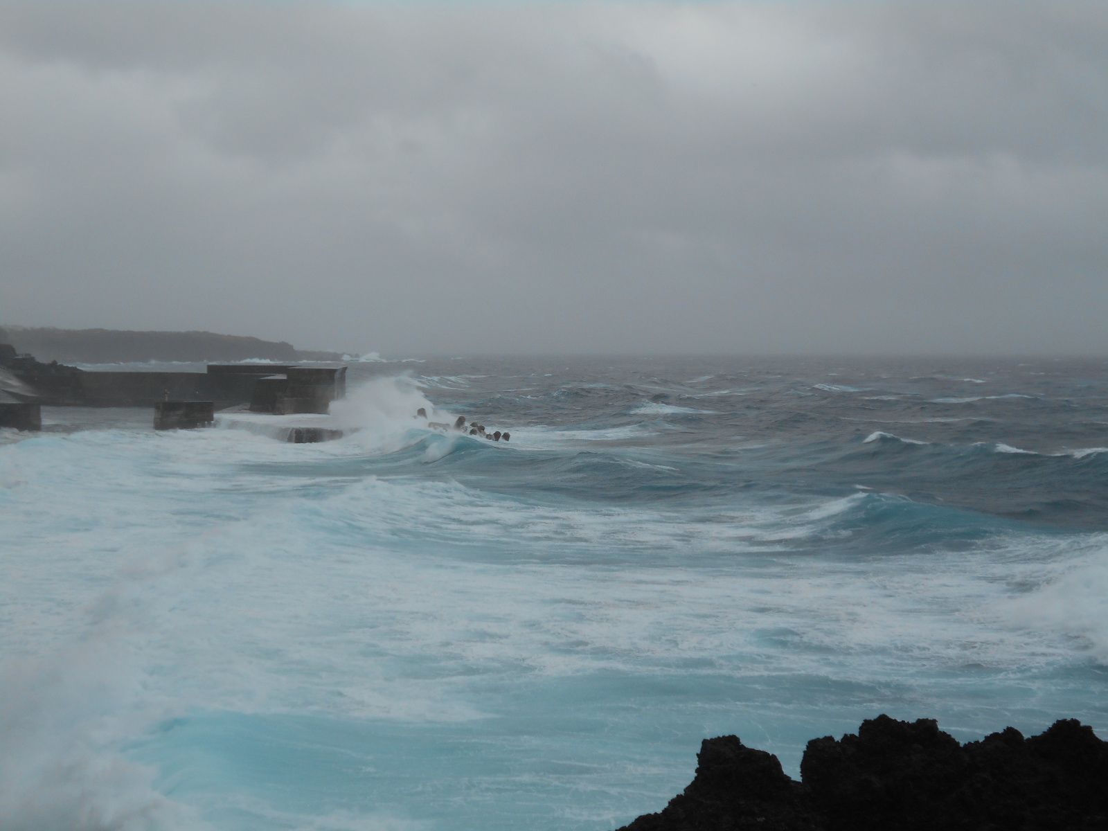 雨の日も散歩 | アートな伊豆大島 - 楽天ブログ