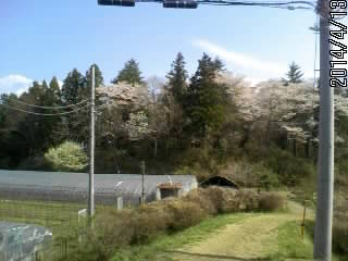 北城の崖