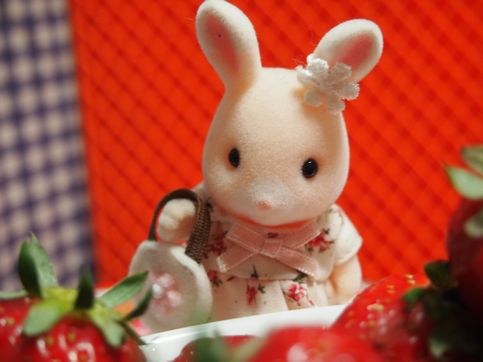 あらま、ごきげんよ～