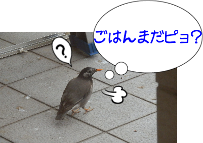 P3010031.png