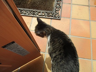 IMG_9369ss.jpg