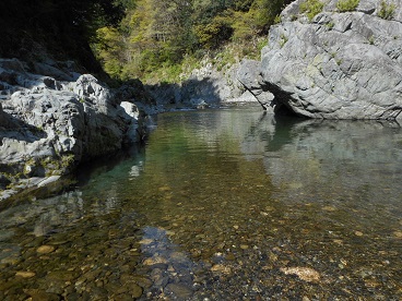 水が。。。.jpg