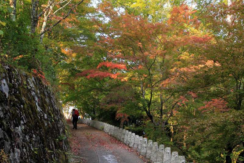 吉野山上千本_004高城山山道の紅葉.jpg