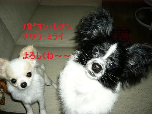 P1010112.JPG