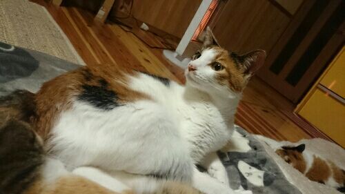 rblog-20170409094421-06.jpg