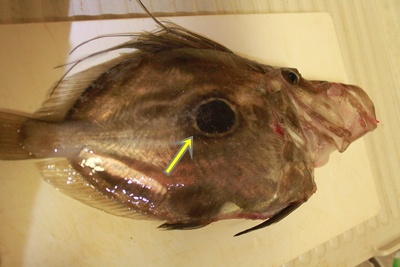 IMG010704.JPG