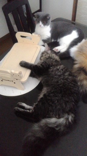 20140805114406.jpg