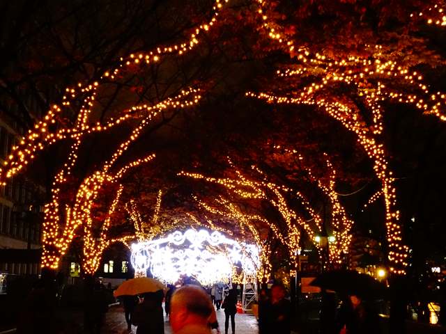 DSC08967_R.JPG