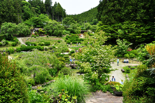 花２