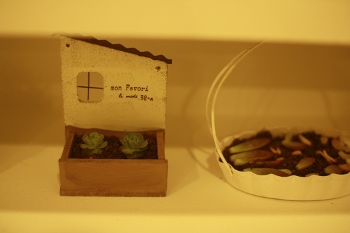 IMG_5813 (350x233).jpg