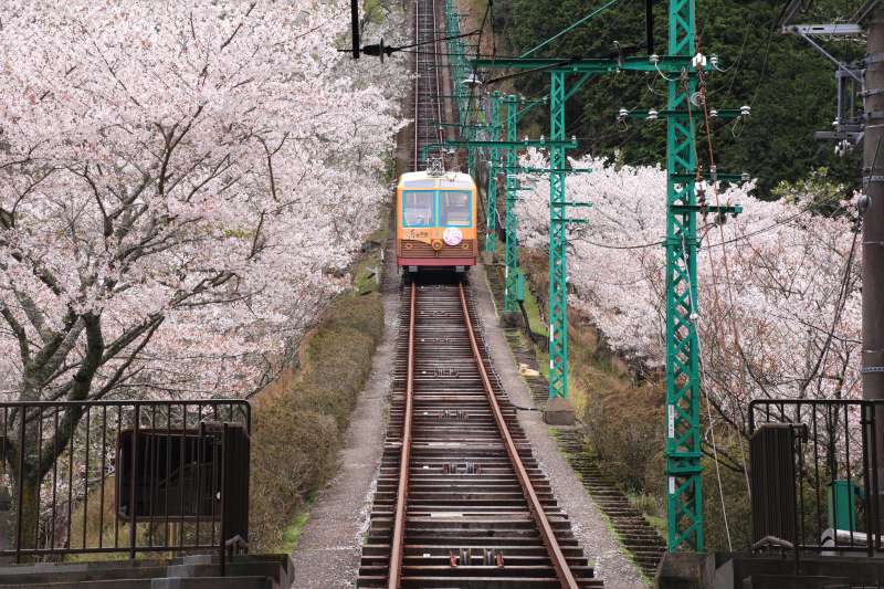 能勢黒川_010.jpg