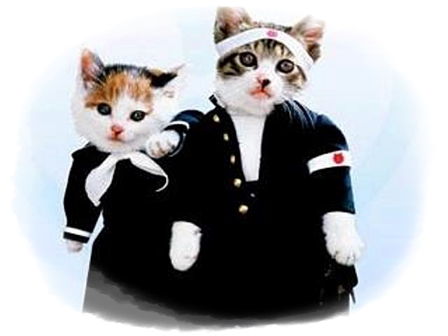 nameneko3