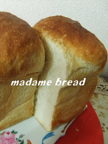 2013_01220004.JPG