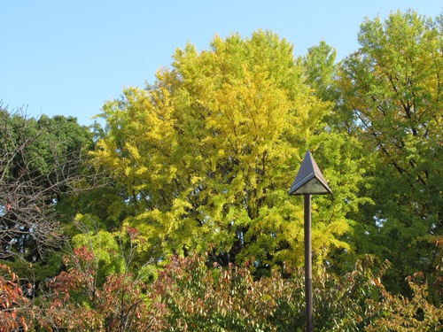 上野公園