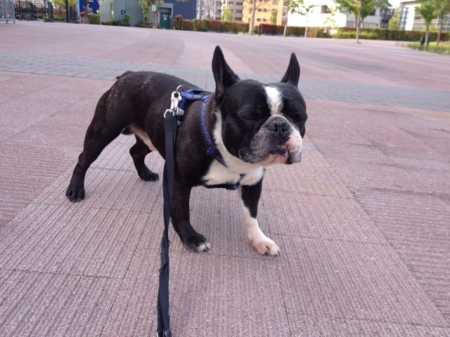 rblog-20130503081417-01.jpg