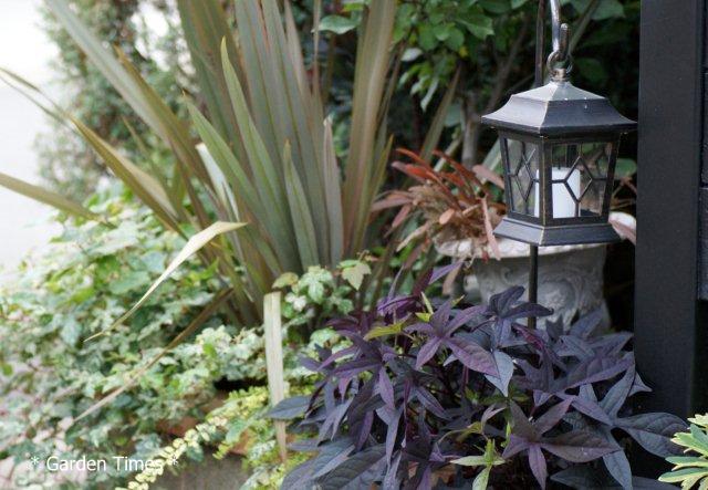 ニューサイラン