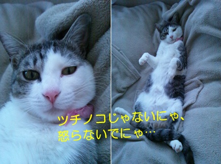20120727_3.jpg