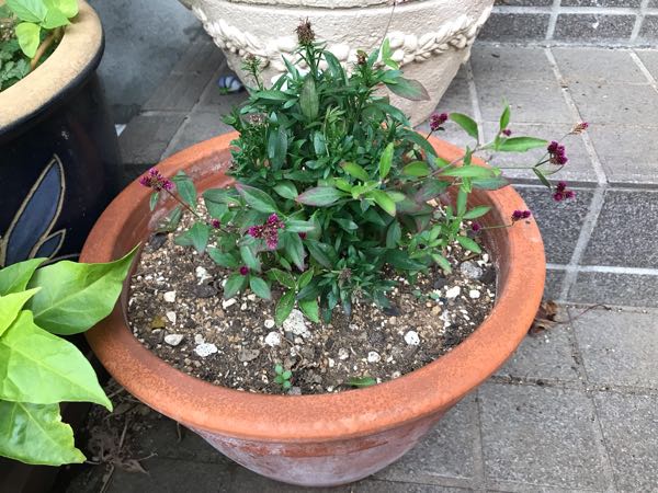 rblog-20181203161408-07.jpg