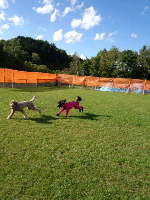 rblog-20131004195807-02.png