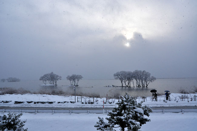雪７