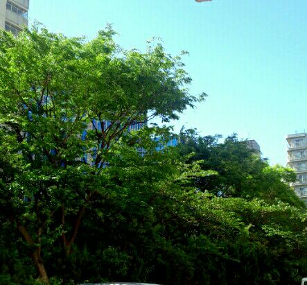 rblog-20150521092043-01.jpg