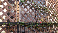 rblog-20130402064256-01.png