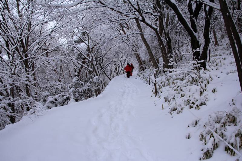 金剛山_6-4.jpg