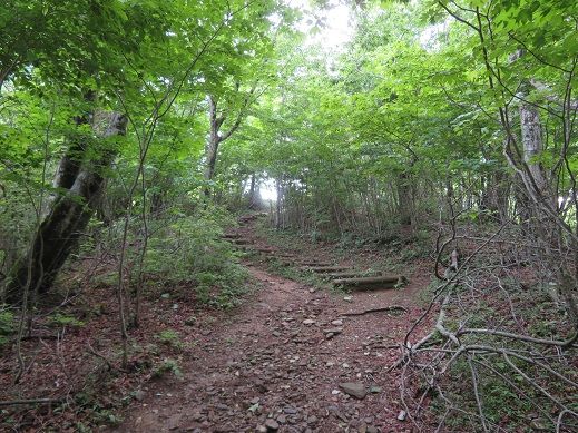 寧比曽岳・・・東海自然歩道がとおる山 | KIKIの山行き・・・ 山と山の花 - 楽天ブログ