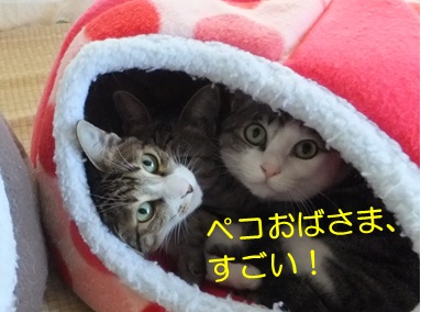 20121104_5.jpg
