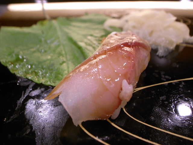 RIMG24050.JPG