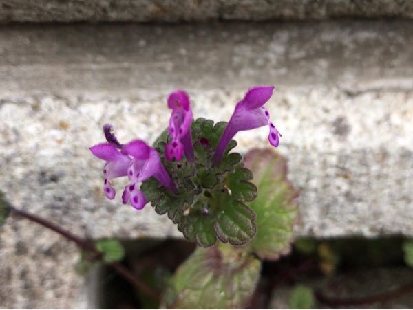 rblog-20170227213621-04.jpg