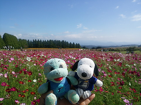 IMG_20161010_103954.jpg