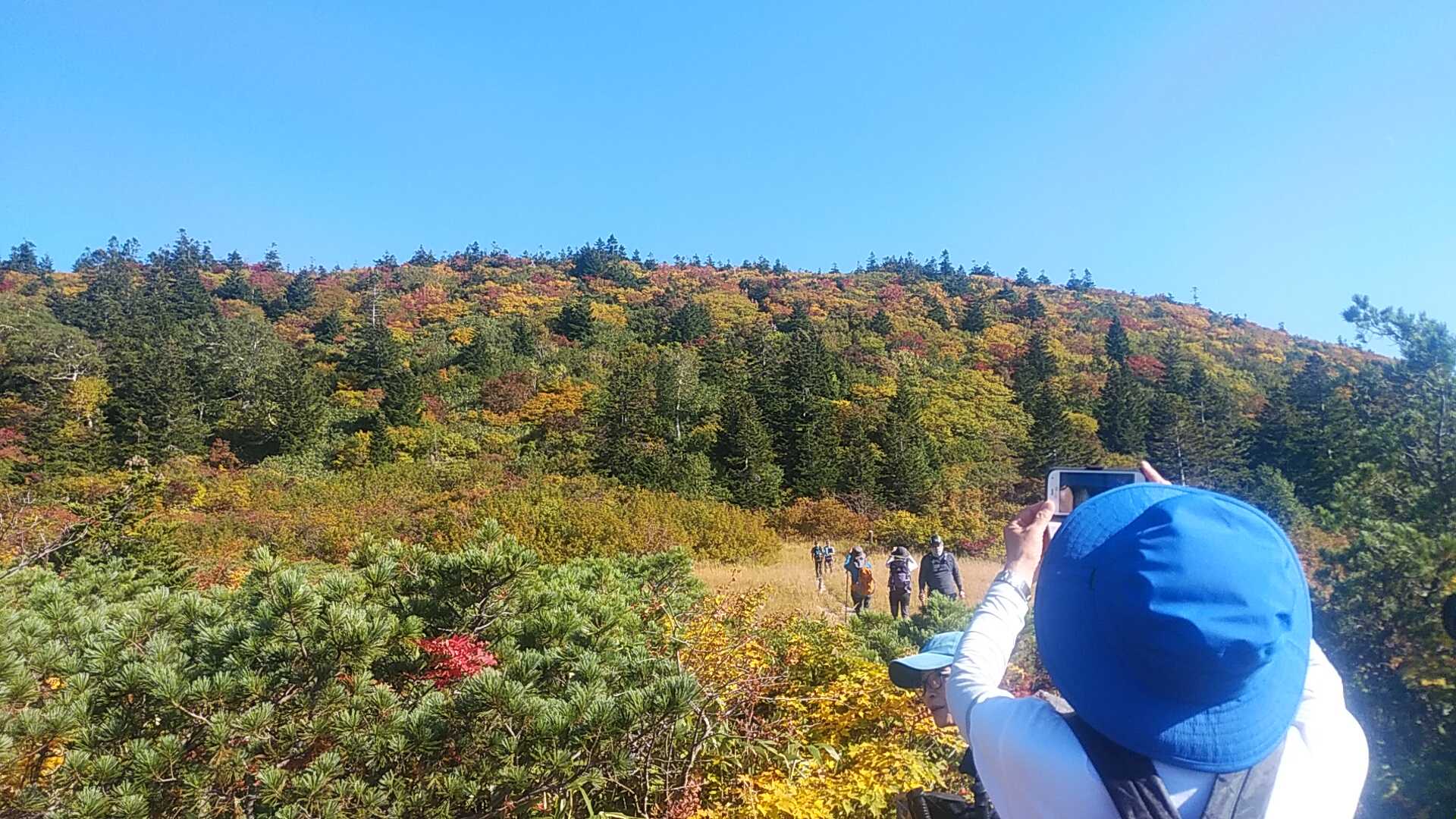 八甲田山紅葉登山ウォークはNWで | ANWC 青い森ノルディックウォーキングクラブ - 楽天ブログ