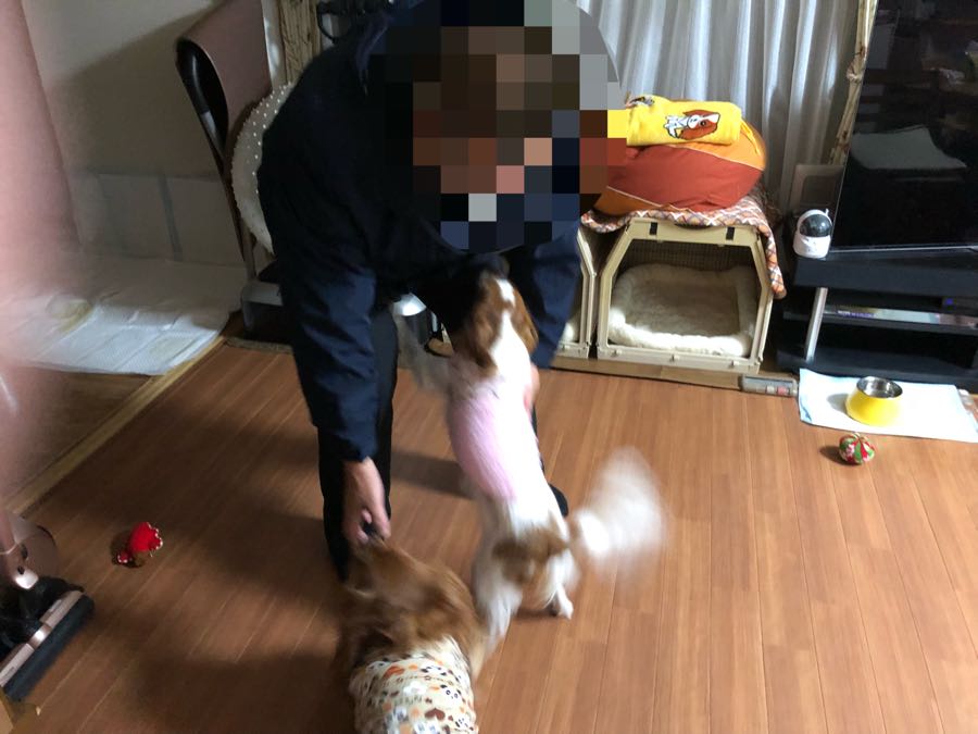rblog-20181114224306-01.jpg