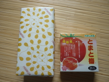 P1060187.JPG