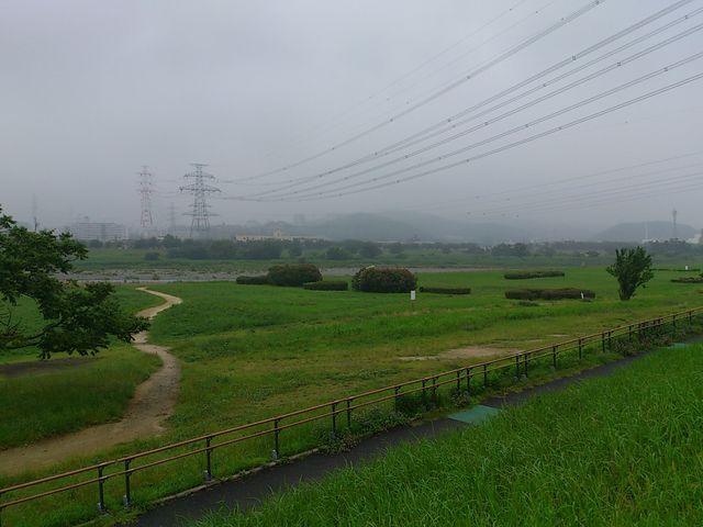 2012-07-07 10.41.01.jpg