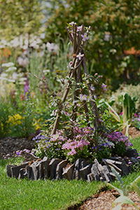 ピーターラビットのお庭