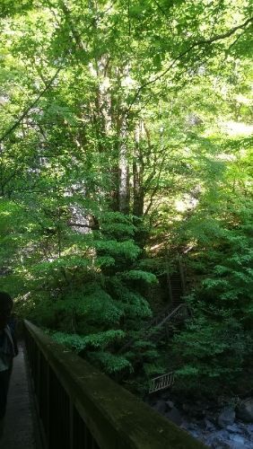 rblog-20180509052956-06.jpg
