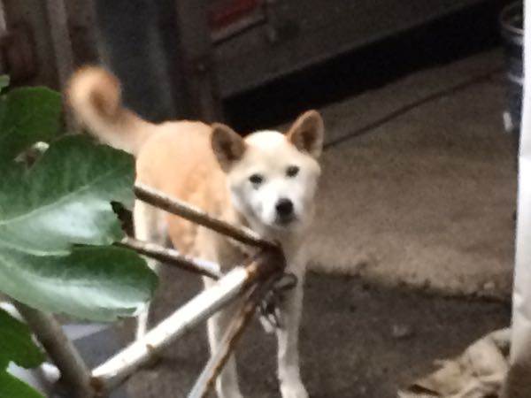 rblog-20150913064856-04.jpg