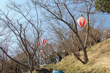 DSC_1188.jpg