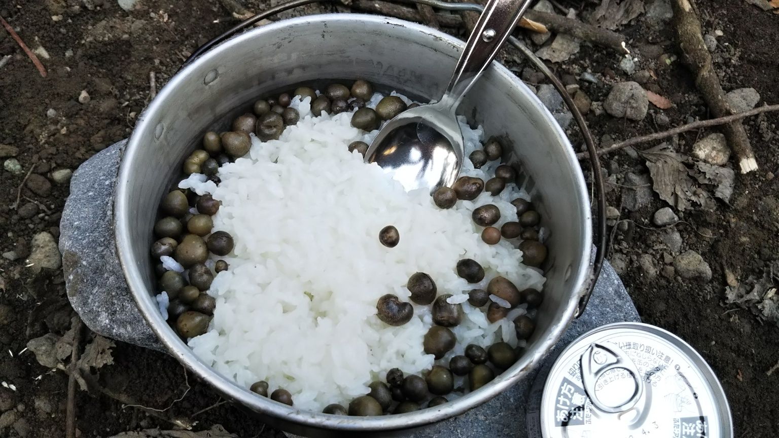 5ページ目の記事一覧 みみずの部屋 楽天ブログ