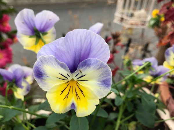 rblog-20181203161122-07.jpg