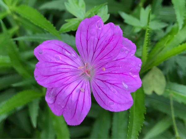 rblog-20180624175900-06.jpg