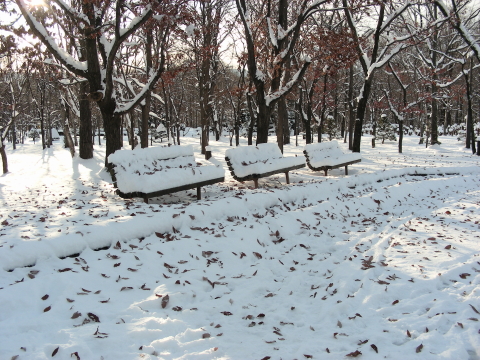 2017-11-20-3 (1).JPG