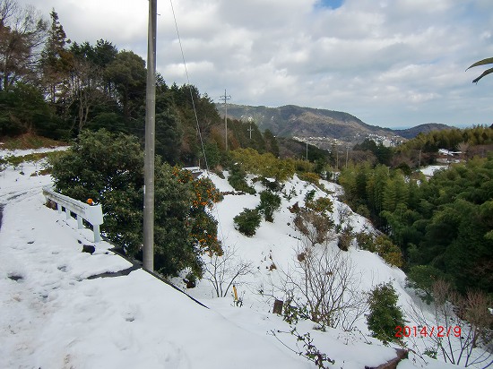 伊豆の初雪 007.jpg